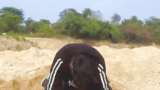 funny video