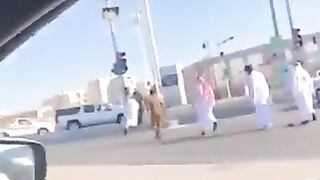 الخليج