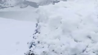 Nature beauty video