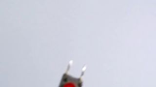 Push on off latch circuit using 555 ic /Simple latch circuit / 555 timer ic projects