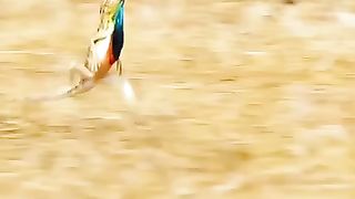 روعة_الخلق ..مشاكل عائليّة