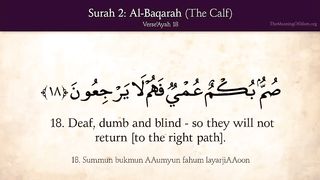 Surah Al baqarah ayah 18-20