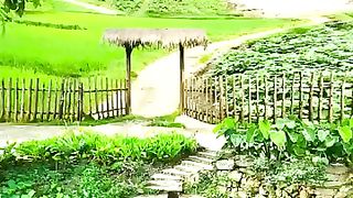Beautiful Nature Fresh Your Mind Ever