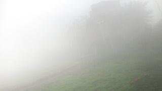 Foggy Morning fresh Air