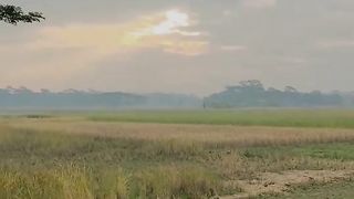 Beautiful nature loving Nature