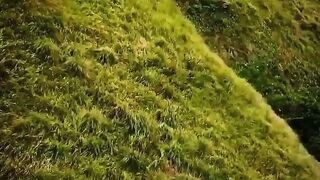 Nature Beauty queen of Nature