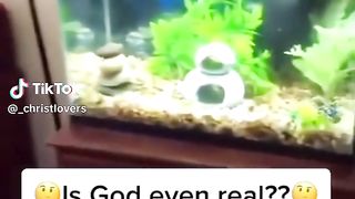 Does God and exist