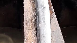 Belut Raksasa