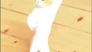 Smart Cat ????????