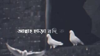 আল্লাহ ছাড়া কাউকেই সিজদা করা জায়েজ নাই।