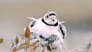 Mother's Love ????????