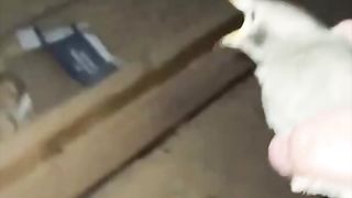 The bird is not happy with the help