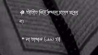 Islamer Alo