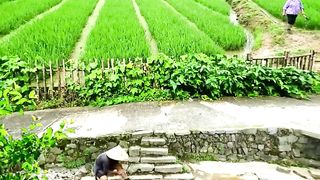 wonderful tranquility of living with nature