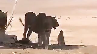 نہ گھبرائیں اللہ پر توکل رکھیں !!