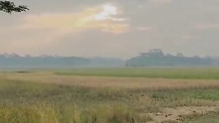 Subahan allah