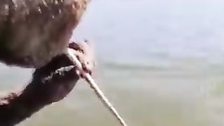 This man has a PhD in Fishing ????