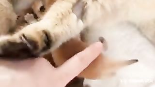 No touching, please..????????????????