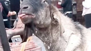 Real, Scary Video
