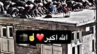 Allah is great Palestine is king