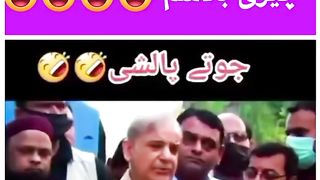 Cherry Blossom Shoe Polish Shehbaz Sharif