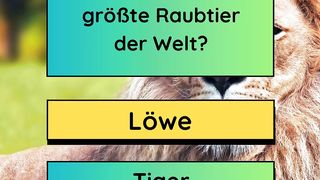 Welt der Tiere