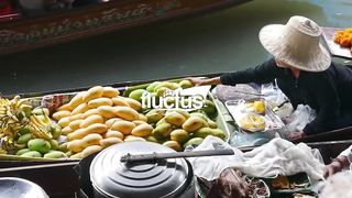 How Thai Farmers Harvest Millions of Tons of Fresh Coconut Every Year