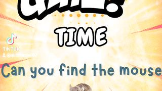 Can you find the *** in this picture?