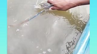 After a long time I came to fish on the Bangladeshi river.