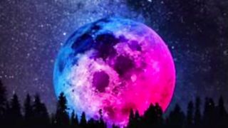 moon light nature