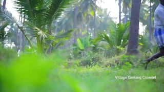 CHICKEN LOLLIPOP - Fried Chicken Recipe Cooking _ Eating In Village - Chicken Wings Recipe Making
