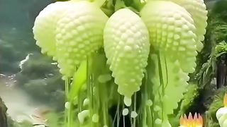 اجمل الازهار