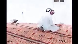 ههههههههههه