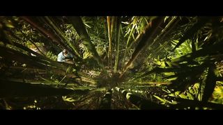 Giant Spider Attack Scene - Kong- Skull Island (2017) Movie Clip HD
