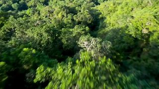 1500mah.#fpv #fpvpilot #goprobr #dronevideo #iflight #lifestyle