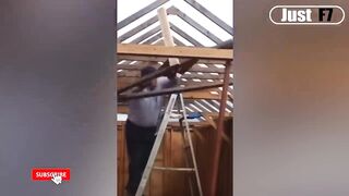 Best Funny Videos Compilation