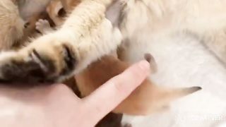 No touching, please..????????????????