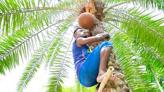 Must Watch New Funniest Comedy video 2024 amazing comedy video 2024 Episode 127 By Busy Fun Ltd