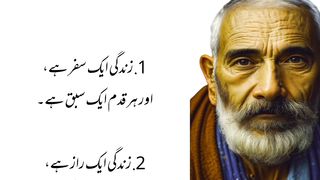 Life changing urdu quotations,aqwal e zarein