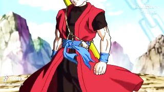 Goku vs ssj 4 goku