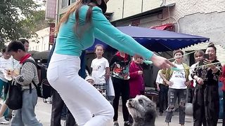 Cute Dog Jumping with Girl | funny video