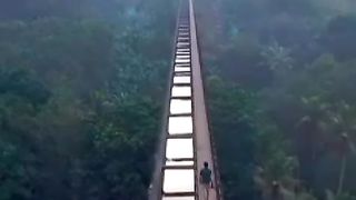 Beautiful nature video  Nature lover #fepspot