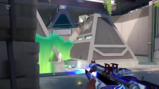 insane phoenix ace