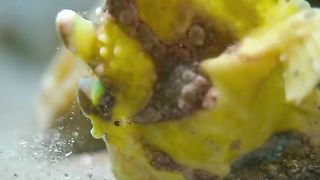 Oddities and wonders of the animal world 2024????????