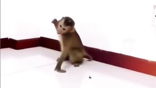 كوميديا