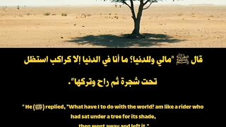 قران الكريم