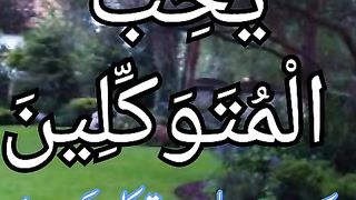 Alquran tilawat arabic Urdu Hindi