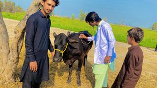 Aj aka bahota badaha mokabla hon wala ha
