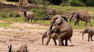 Oddities and wonders of the animal world 2024????‍♀️????‍♀️????‍♀️