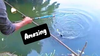 Amazing Fishing fish